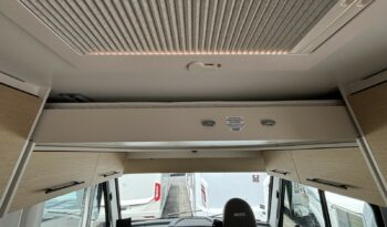 NOTIN RUBI CF complet